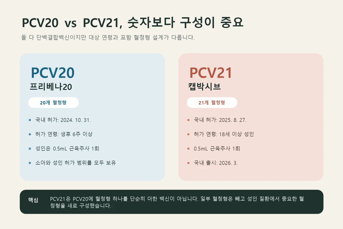PCV20과 PCV21 비교 인포그래픽