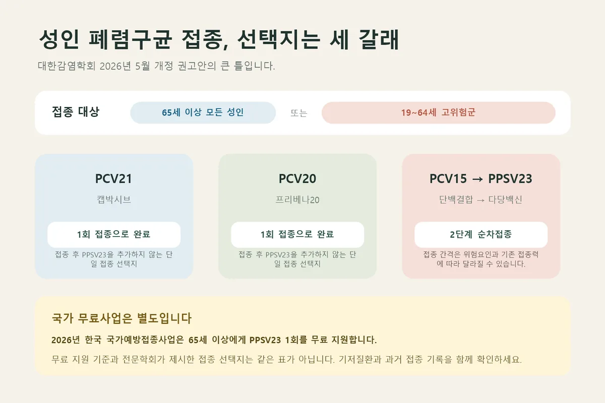 성인 폐렴구균 백신 세 가지 접종 경로와 국가 무료접종 안내
