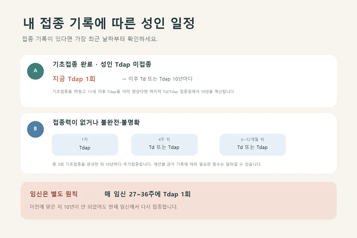 접종 기록에 따른 성인 Tdap 접종 일정을 정리한 인포그래픽