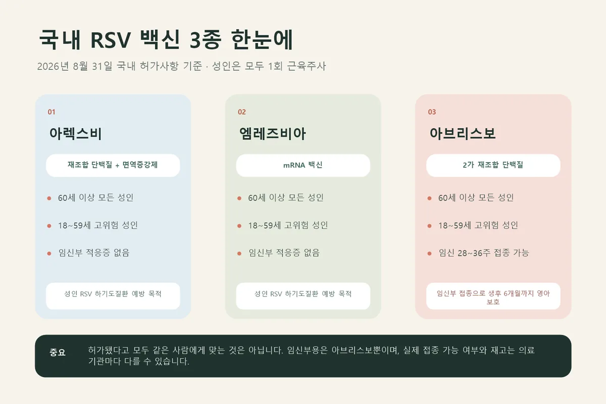 RSV 백신 종류별 접종 대상과 특징을 비교한 인포그래픽